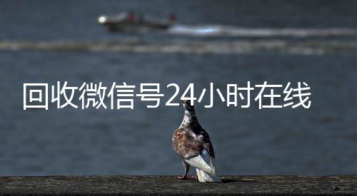 回收微信号24小长期收购微信号时在线秒结（回收微信号网站）